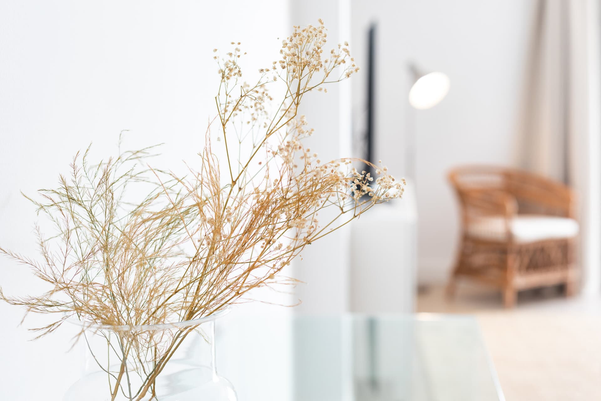 Loft 2G Deluxe Edition — photo 14