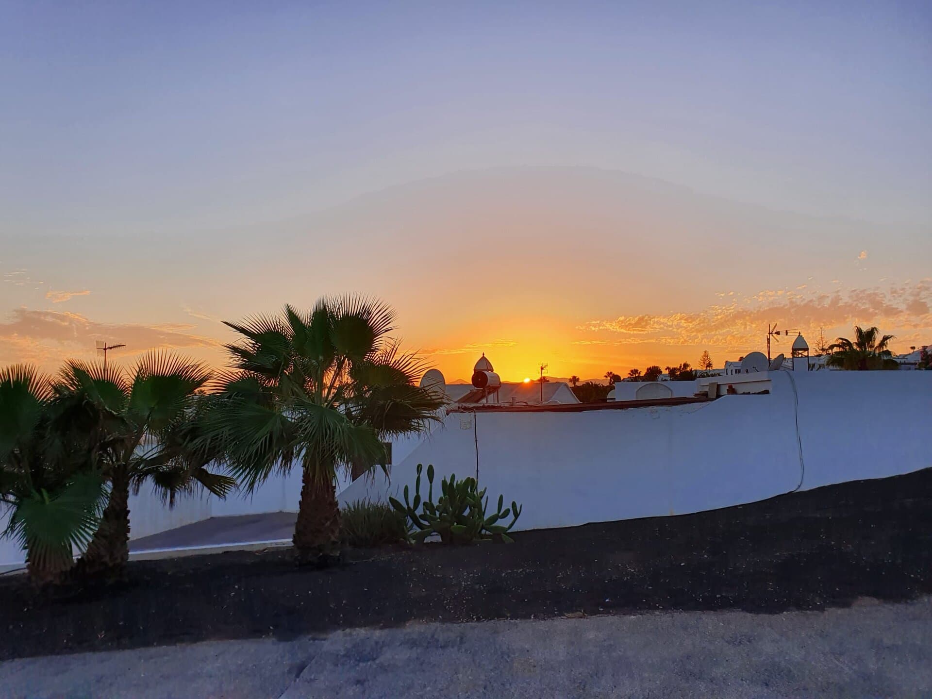 Princesa Leticia — photo 6