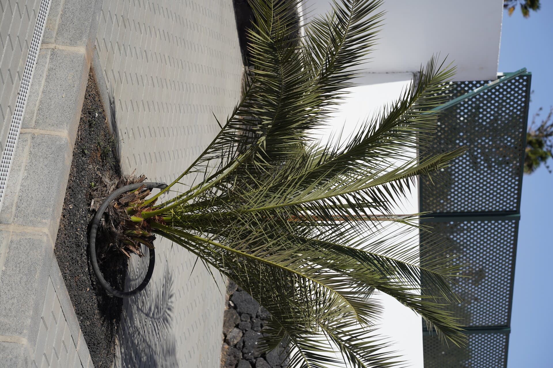 Princesa Mercedes — photo 2