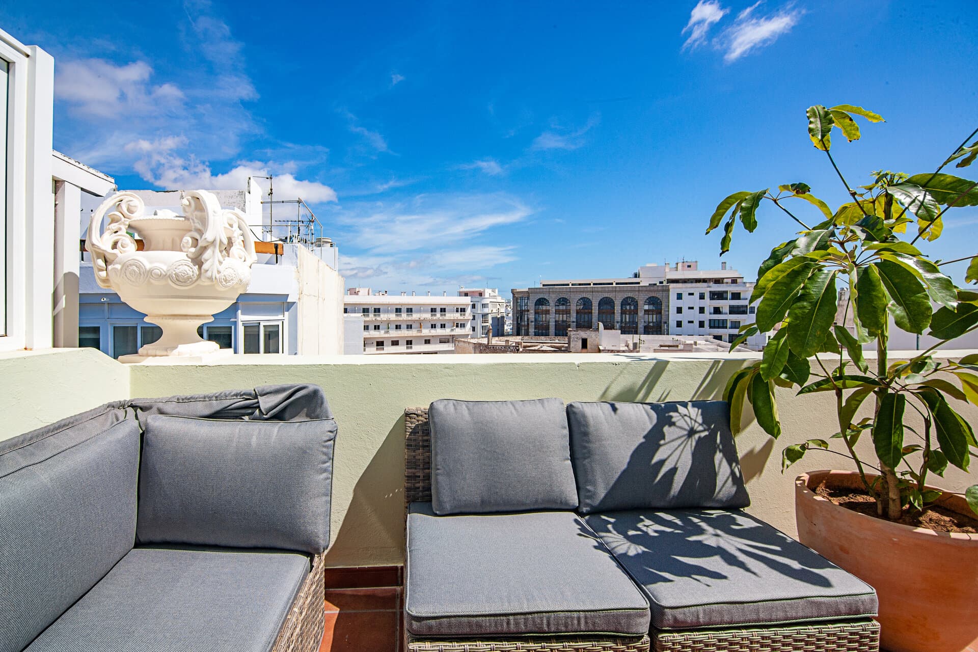 Terrace 4C — photo 13